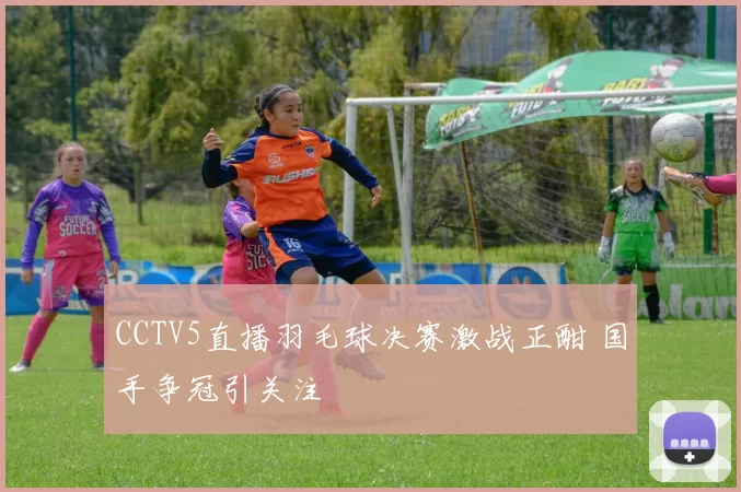 CCTV5直播羽毛球决赛激战正酣 国手争冠引关注