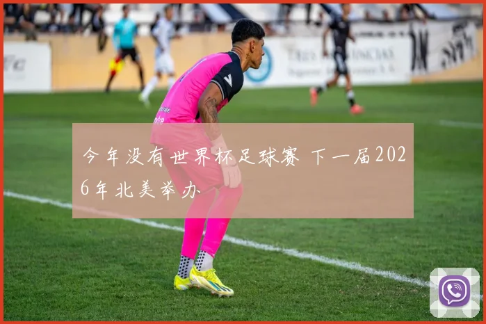 今年没有世界杯足球赛 下一届2026年北美举办